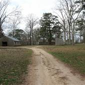 Dreamer Plantation