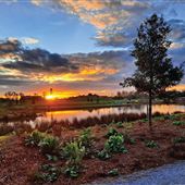 Moncus Park