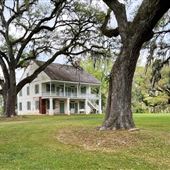 Live Oak Former Plantation