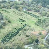 Shady Pond Tree Farm
