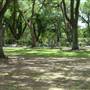 St. Francisville Cemetary