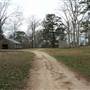 Dreamer Plantation