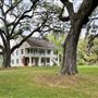 Live Oak Former Plantation
