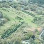 Shady Pond Tree Farm