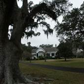Lloyd's Hall Plantation