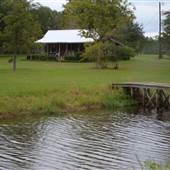 The Farm