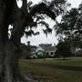 Lloyd's Hall Plantation