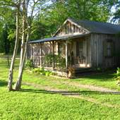 Dewey Reed Property