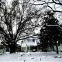 Calloway Corners Bed & Breakfast