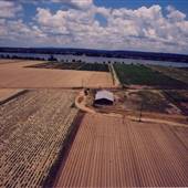 Angola Prison Farm