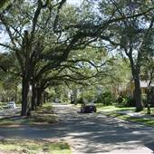 Cherokee Avenue