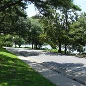 LSU-Sorority Row