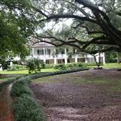 Melrose Plantation