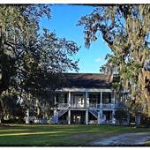 Rienzi Plantation