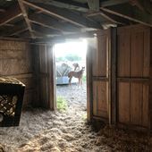 Old barns, houses, outdoor kitchens, gardens, cattle and race horses. Bayous, old stores,