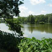 LSU-Lakes