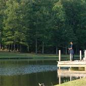 Lincoln Parish Park