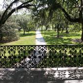 Magnolia Plantation