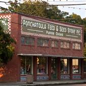 Feed & Seed - Ponchatoula