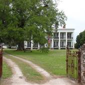 Ducros Plantation