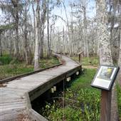 Wildlife Bear Refuge