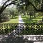 Magnolia Plantation