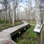 Wildlife Bear Refuge