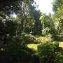 The Sanctuary