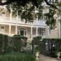 Pine Court