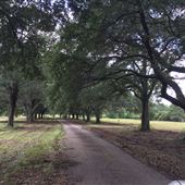 Selah Farms