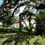 Homeplace Plantation