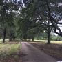 Selah Farms