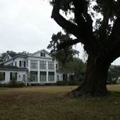Arlington Plantation