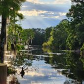 Bayou Lacombe Home