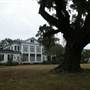 Arlington Plantation