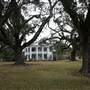 Bocage Plantation