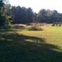 Gilliam Estates