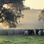 Turnley Farm