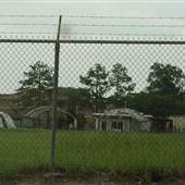 LSU-Greenhouse