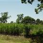 Donaldsonville