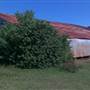 WHIPPOORWILL FARM SHONGALOO LOUISIANA