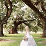 Stella Plantation