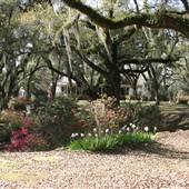Butler Greenwood Plantation