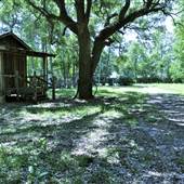 Darby Cabin