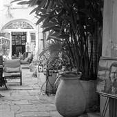 Lisa Victoria Gallery