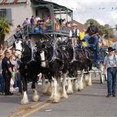 New Roads Mardi Gras