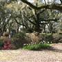Butler Greenwood Plantation